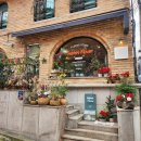 중앙플라워(생화) | 선릉역꽃집 델핀플라워에서 겨울 준비, 크리스마스 생화 미니 트리 만들기