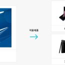 도우인시스