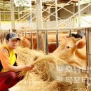 억대축산 이미지