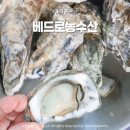 석화 10KG 5KG 추천 굴 차이 세척 및 손질법 베드로농수산