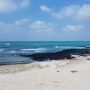 제주흑도야지 구이랑 김치찌개 이미지