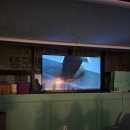 태낭태사 태권도장 다온관 이미지