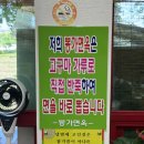 봉가면옥 | 남원 현지인 맛집 봉가면옥 함흥냉면 원조