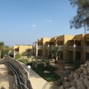 엔게디(Ein Gedi) 이미지