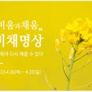 비채우리