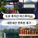 EG투어버스 L코스 | 도쿄 후지산 포토스팟 당일 버스투어 내돈내산 추천 후기(한국어 가이드)