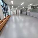 라이온 체육관 이미지