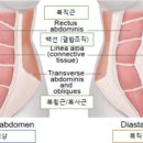 알투에스 휘트니스 이미지