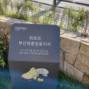 부암3동-17 이미지