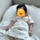 참참식품 이미지