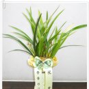 흥진정공 이미지