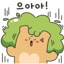 현대손세차장 이미지