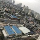 용인대능동태권도 이미지