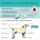 포항동물약국 이미지