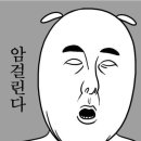 피치카 이미지