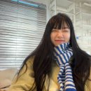 수지장갑 이미지