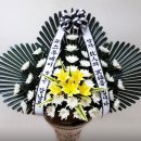 티와이파트너스 이미지