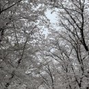 탄천 죽전삼거리 이미지