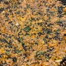 누리마을감자탕 정관점 이미지