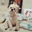초희미용실 이미지