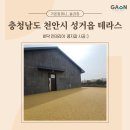 가온컴퍼니 이미지