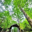 연못들6 | [대전 가볼만한 곳] 가슴이 뻥 뚫리는 연두빛 숲 🌿 대전 <장태산자연휴양림> 봄나들이 완벽 가이드 2026