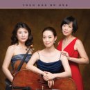 그라티아 이미지