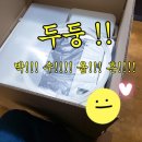 남일축산 | 강아지 자동배변판(애견 소변처리기) 직접 구매+ 후기 <<안쓰는게 손해.. 내통장도 지구도 병들어..>>