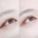 디데이브로우 이미지