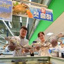 팔딱팔딱 이미지