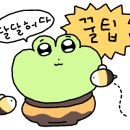 피자 브루클린 이태원점