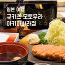 도쿄야 | 도쿄 아키하바라 맛집 규카츠 모토무라 내돈내산 솔직 후기