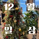 쏘리마트송정 | 크리스마스의 계절이 왔다.. 12월 1주차 일상