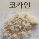 코카인