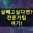[실천학교]아침을 깨우는 활력 홈트 | 다이어트 팁: 체중 감량 성공 위한 전문가 조언