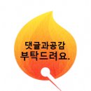 머쉴랭 버섯코스요리 | [의왕 맛집] 머쉴랭 버섯 코스요리 전문점 후기