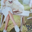 도그(DOGUE) 이미지