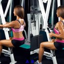 몸짱헬스클럽 이미지