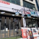 2900황소반점 이미지