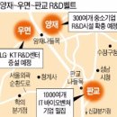 엘지전자_양재 티스토리