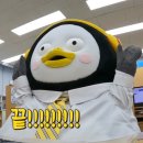 도리쯔(DORIZZ) 이미지