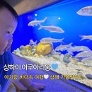 중국관상해 | 상하이 가볼만한곳 상해 아쿠아리움 아기랑 티켓 예약방법