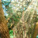 장항종로약국 이미지