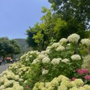 월아산 숲속의 진주(야외화장실) 이미지