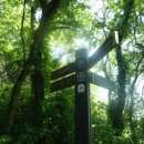 몽산142
