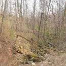 남구-011 이미지