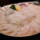 포항물회 일번지 이미지