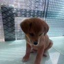 신공항동물병원 이미지