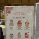 시스페어리 이미지