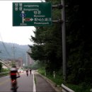 봉평메밀숲 이미지